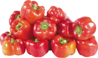 WEBP