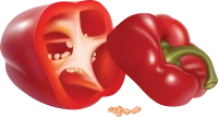 WEBP