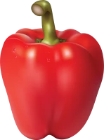 WEBP
