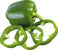 WEBP