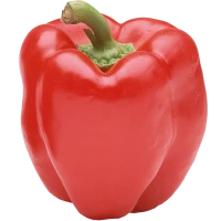 WEBP