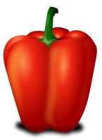 WEBP