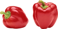 WEBP