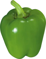 WEBP