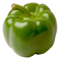 WEBP