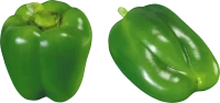 WEBP