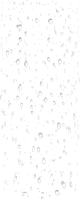 WEBP