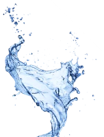 WEBP