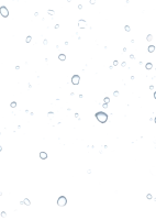 WEBP