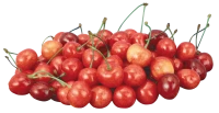 WEBP