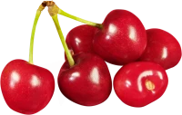 WEBP