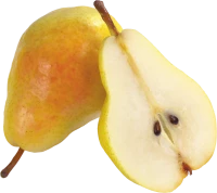 WEBP