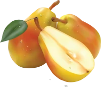 WEBP