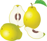 WEBP