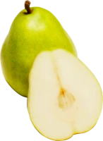 WEBP