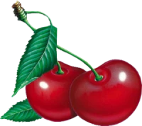 WEBP