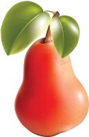 WEBP