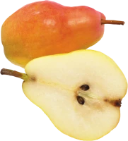 WEBP