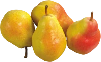 WEBP
