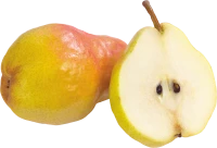 WEBP
