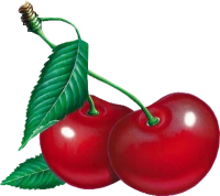 WEBP