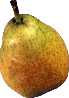 WEBP