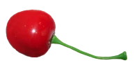 WEBP