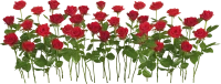 WEBP