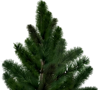 WEBP
