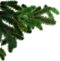 WEBP