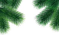 WEBP