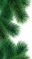 WEBP