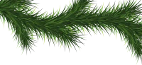 WEBP