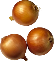 WEBP