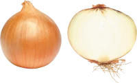 WEBP