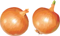WEBP