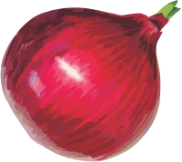 WEBP