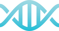 WEBP