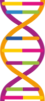 WEBP