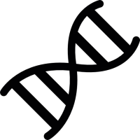 WEBP