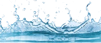 WEBP