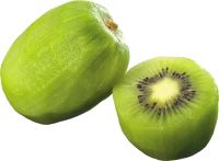 WEBP