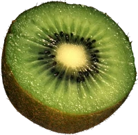 WEBP