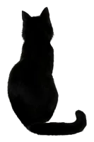 WEBP