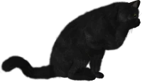 WEBP