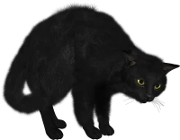 WEBP