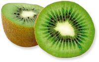 WEBP