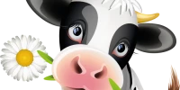 WEBP