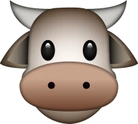 WEBP