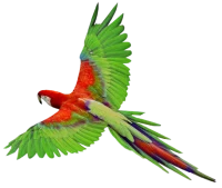 WEBP